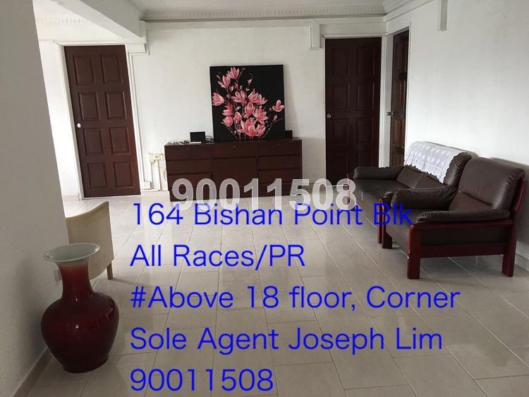 Bishan Street 13 thumbnail photo